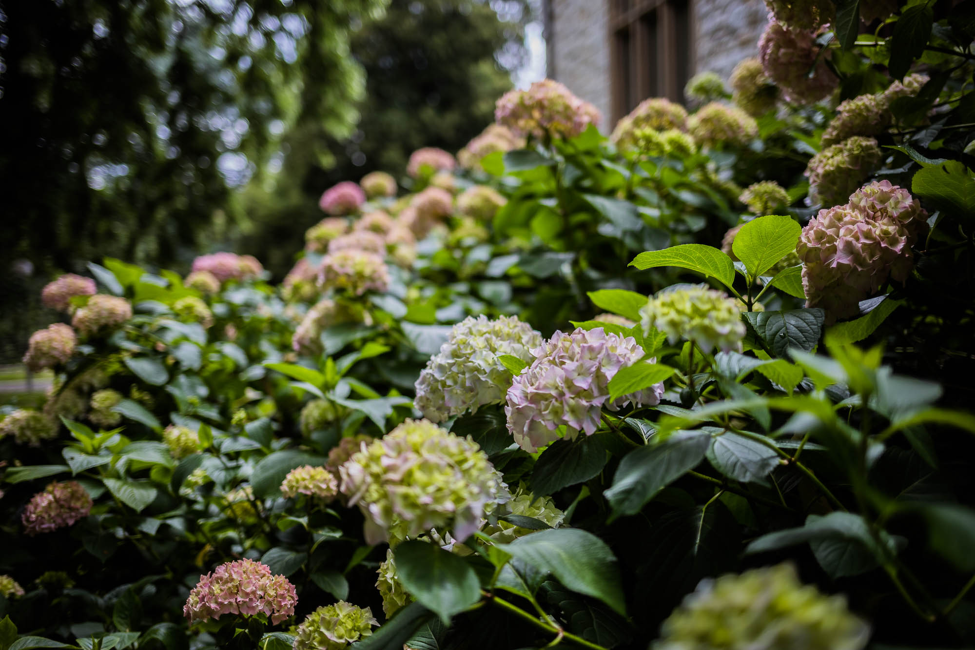 Export x3 5D4 8973 Hochzeit 2020 Nicole & Daniel